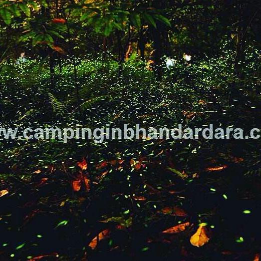 Hotel Samadhan Bhandardara Eksteriør bilde